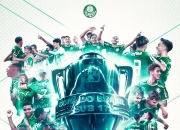 开云体育网站-帕尔梅拉斯球迷现场助威，激发球队夺冠斗志的简单介绍