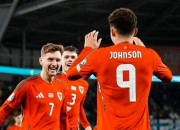 开云体育亚洲官网-包含波兰国家队淘汰对手晋级欧洲一级赛事的词条