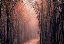 开云体育app下载-斯图加特客场逼平门兴格拉德巴赫：顽强拼搏夺得宝贵一分