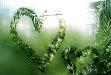 开云体育网页版入口-匈牙利战胜法国，欧洲足球史上令人振奋的里程碑