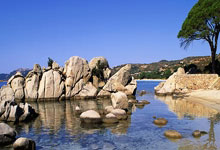 开云体育app-福建闽海球队球员捆绑表决胜败，士气高昂，福州闽海