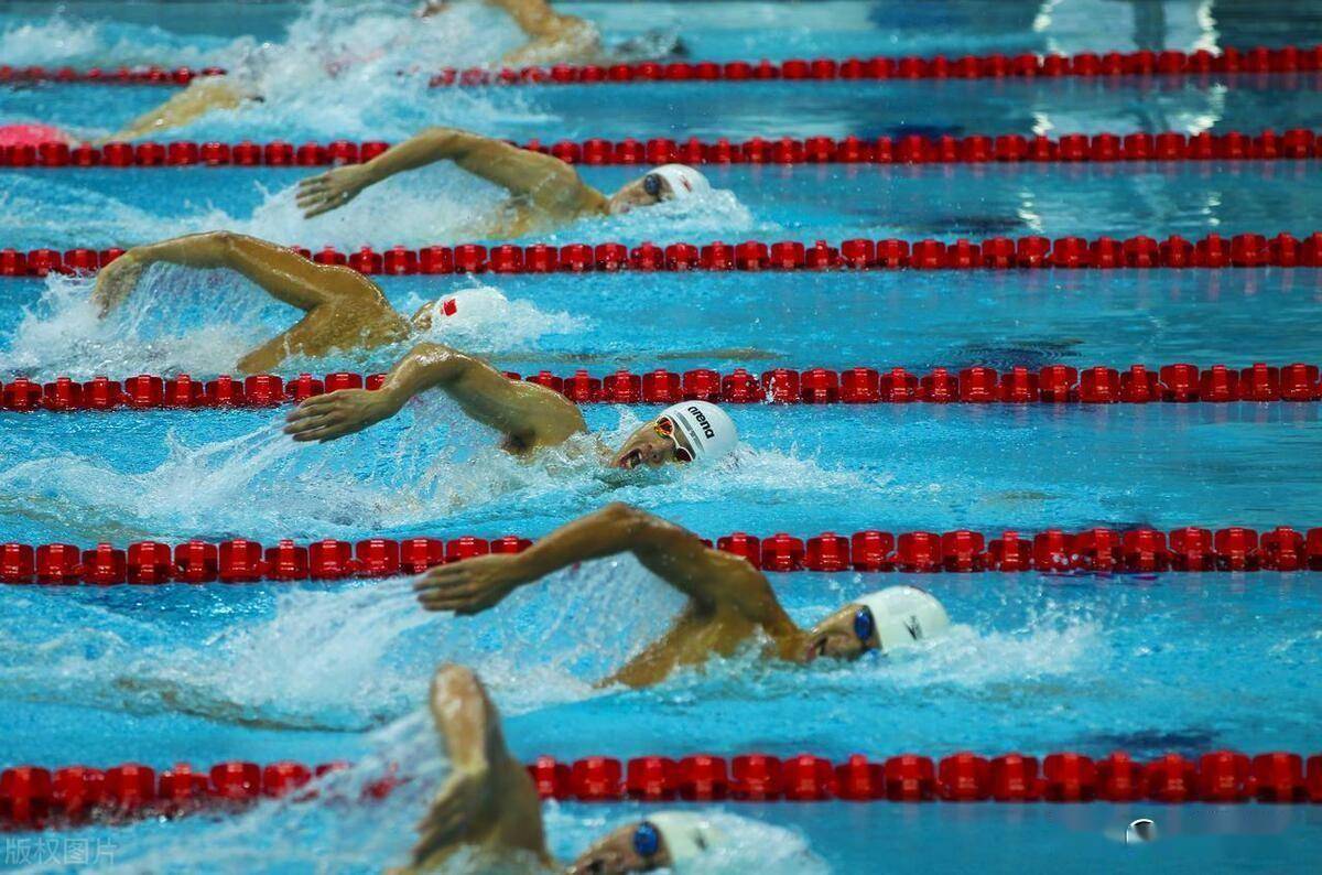 关于澳大利亚游泳选手表现稳定,夺得多枚奖牌的信息 关于澳大利亚游泳选手表现稳定,夺得多枚奖牌的信息