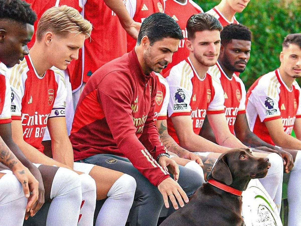 皇家马德里球迷为球队的胜利欢呼雀跃 皇家马德里球迷为球队的胜利欢呼雀跃