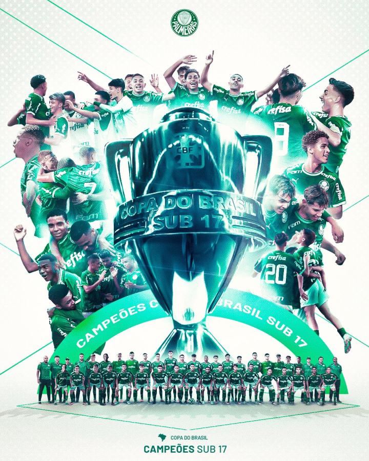 帕尔梅拉斯球迷现场助威,激发球队夺冠斗志的简单介绍 帕尔梅拉斯球迷现场助威,激发球队夺冠斗志的简单介绍