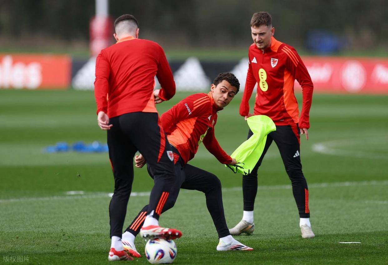 比利时队在欧预赛中战绩斐然,竞争加剧的简单介绍 比利时队在欧预赛中战绩斐然,竞争加剧的简单介绍